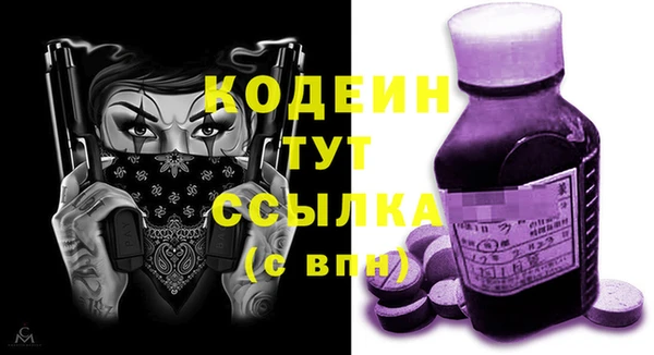 крисы Абаза