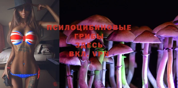 дурь Абдулино