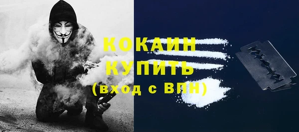 крисы Абаза