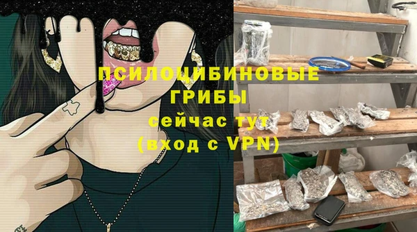дурь Абдулино