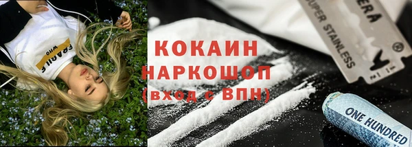 крисы Абаза