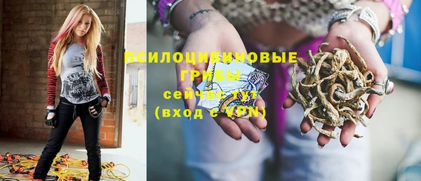 дурь Абдулино