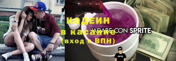 крисы Абаза