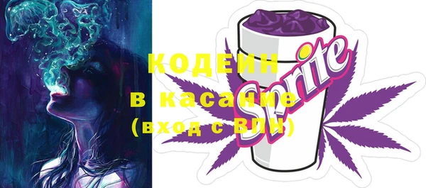крисы Абаза