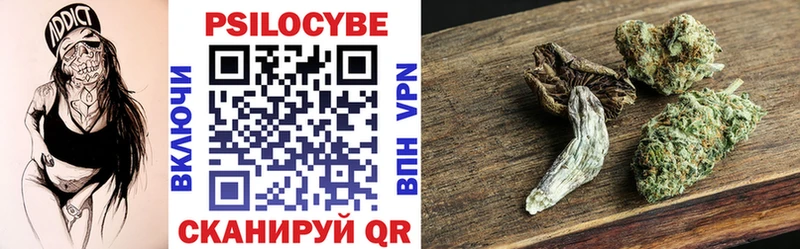 Псилоцибиновые грибы Psilocybine cubensis  Тырныауз 