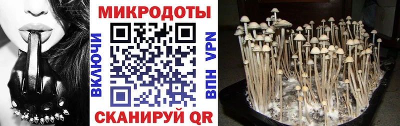 Псилоцибиновые грибы мухоморы Тырныауз